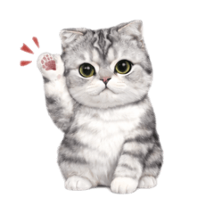 Harveysalmonkiller vol.1