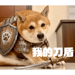 黃小露の宅生活
