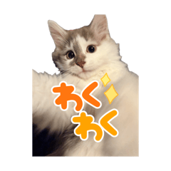 J worker_20260420231602