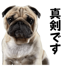 michihiko_20260421101036