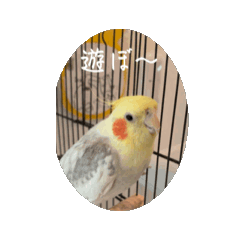 pipibokujou_20260421111010