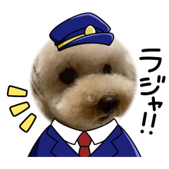 Reida_20260421030250