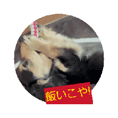 mu-tan_20260421114117