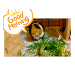 Sawadaya_20260421134357