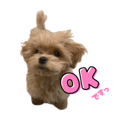 kurumi_20260421112240