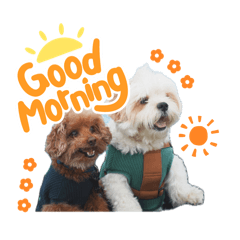 nontatata_20260420225354