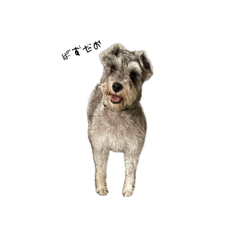 Creme_20260420230335