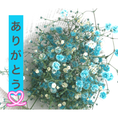 MIMIKA_20260421000021