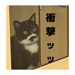 Potechi_20260417185642