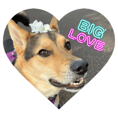 mitomo_20260421083151