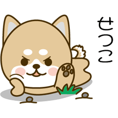Shiba inu Sticker 018