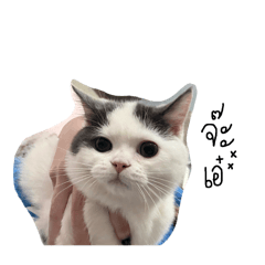 Tananya Pomsakul_20260413224456