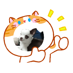 超超可愛狗狗