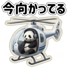Say It in One Tap! Panda Stickers