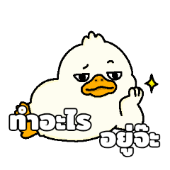 Aggressive  99_20260420204619