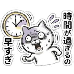 Expressive Cat: Daily Life & Moods3