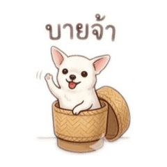 Nattaya_20260420204825