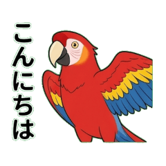 Honduras' national bird macaw