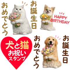 Dogs and cats, Birthday celebration