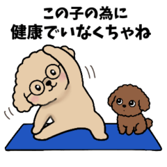 Everyday Moments of ToyPoodle Mom