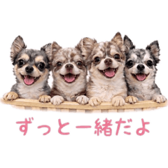 LoveMomo_20260421000600