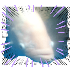 The sea is turbulent.