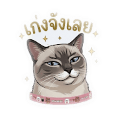 Nong toon back_20260420214806