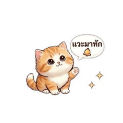 Palmy.43_20260420214552