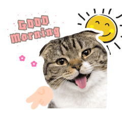 STK pimpim_20260420215915