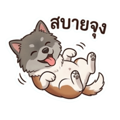 JaneSSE_20260421001241