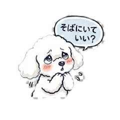 "Toy Poodle-type" guy