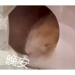 果果斑斑的日常