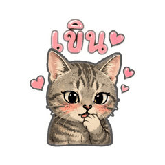 BAMBAM_20260420232955