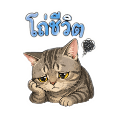 BAMBAM_20260420233630