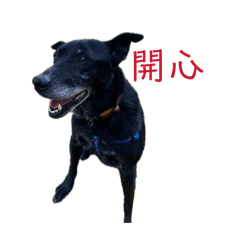 汪汪日常：狗勾物語1