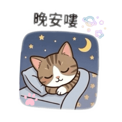 虎妞的日常用語