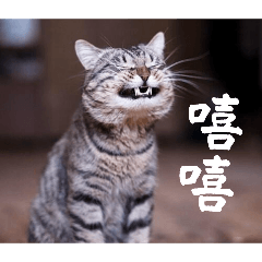 動物星球貼圖#1