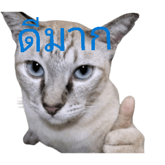 khanakhun nannu_20260421093625