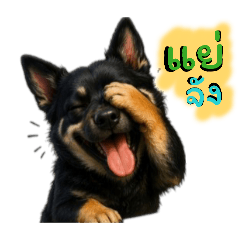 Lnut Sixcode_20260421093256