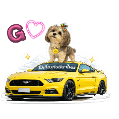 Winwin_20260421090816