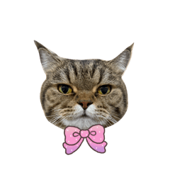 Meow Ouan and Family