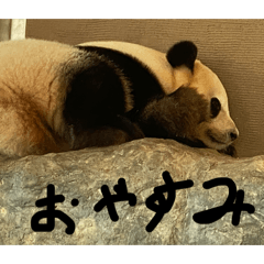 haruharu_20260417214535