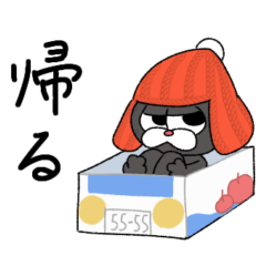 The dog wearing a knit hat