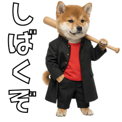 Funny Dog Breed Puns