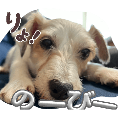 Bani_20260417214045