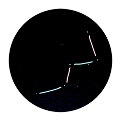 hitosuzisimaka_20260421162746
