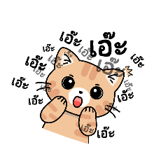 Meow meow_20260419164554