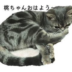 Naomitan703_20260417232054