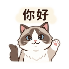 喵是布偶貓底迪（生活萬用篇）