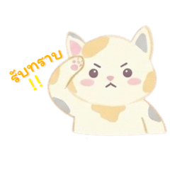 Cat loving Pastel